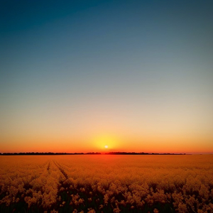 jil巴又大又粗视频
